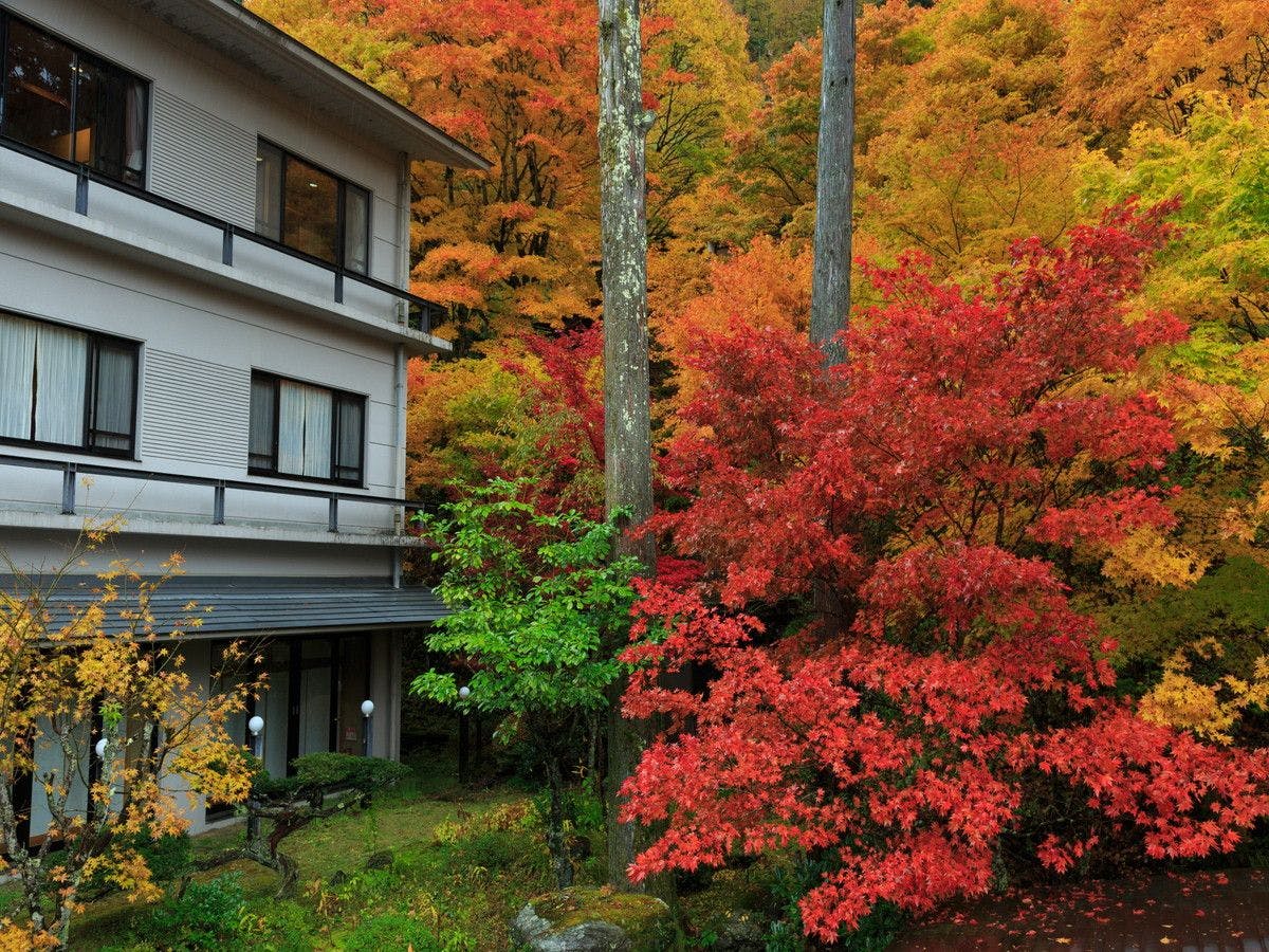 Kisokoma no Yu Onsen - Nukomori no Yado Komano-yu