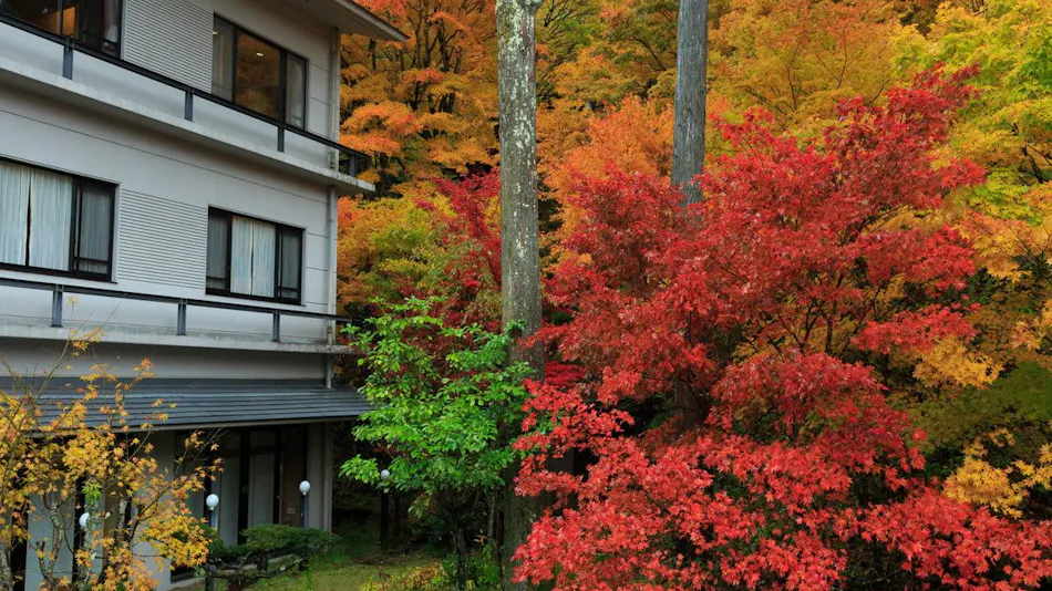 Kisokoma no Yu Onsen - Nukomori no Yado Komano-yu