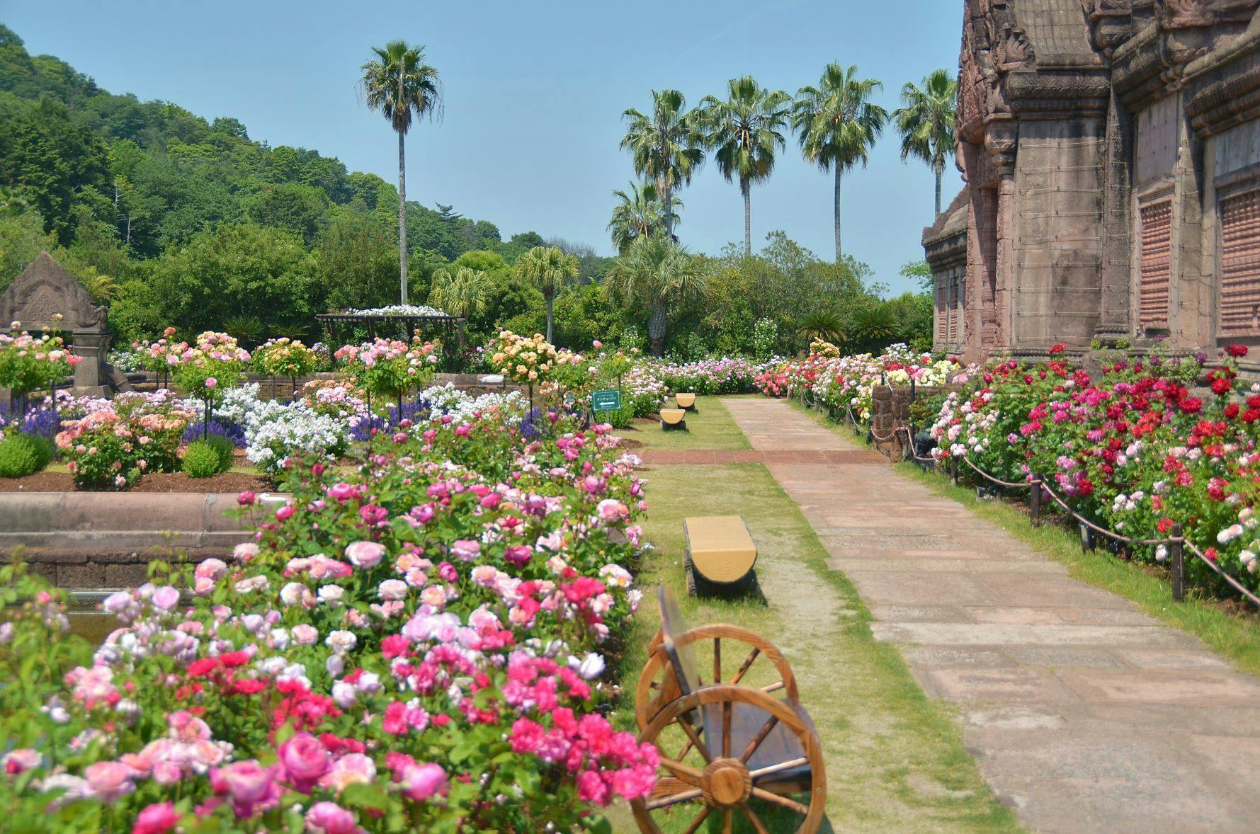 Festival Mawar Besar Musim Luruh di Reoma World