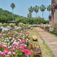 Festival Mawar Besar Musim Luruh di Reoma World