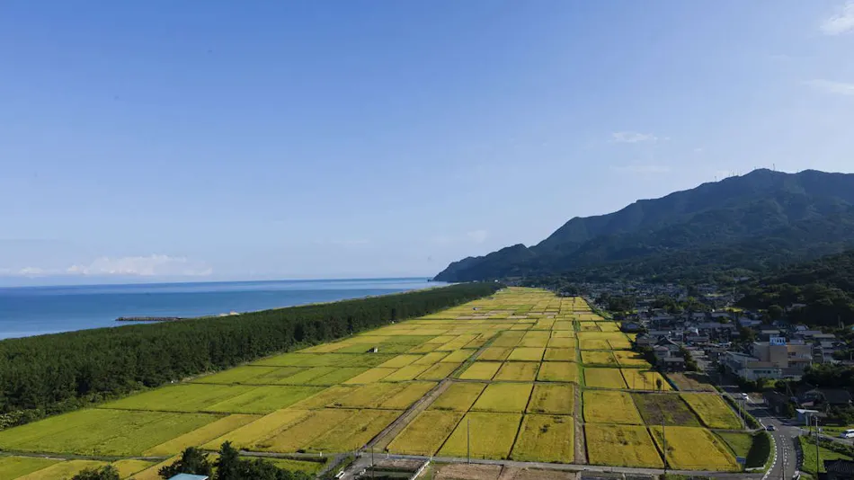 Teradomari Cape Onsen Hotel Asuka