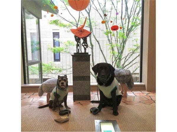 Pet-Friendly Accommodation CARO FORESTA Motohakone LUCIA