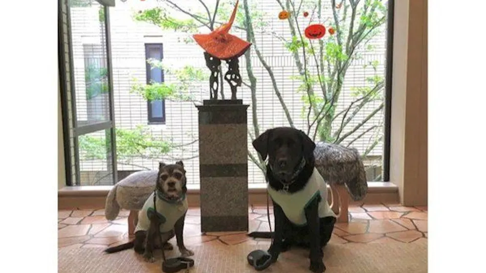 Pet-Friendly Accommodation CARO FORESTA Motohakone LUCIA