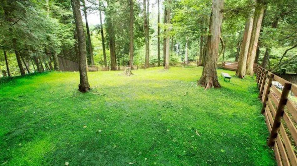 Pet-Friendly Accommodation CARO FORESTA Motohakone LUCIA