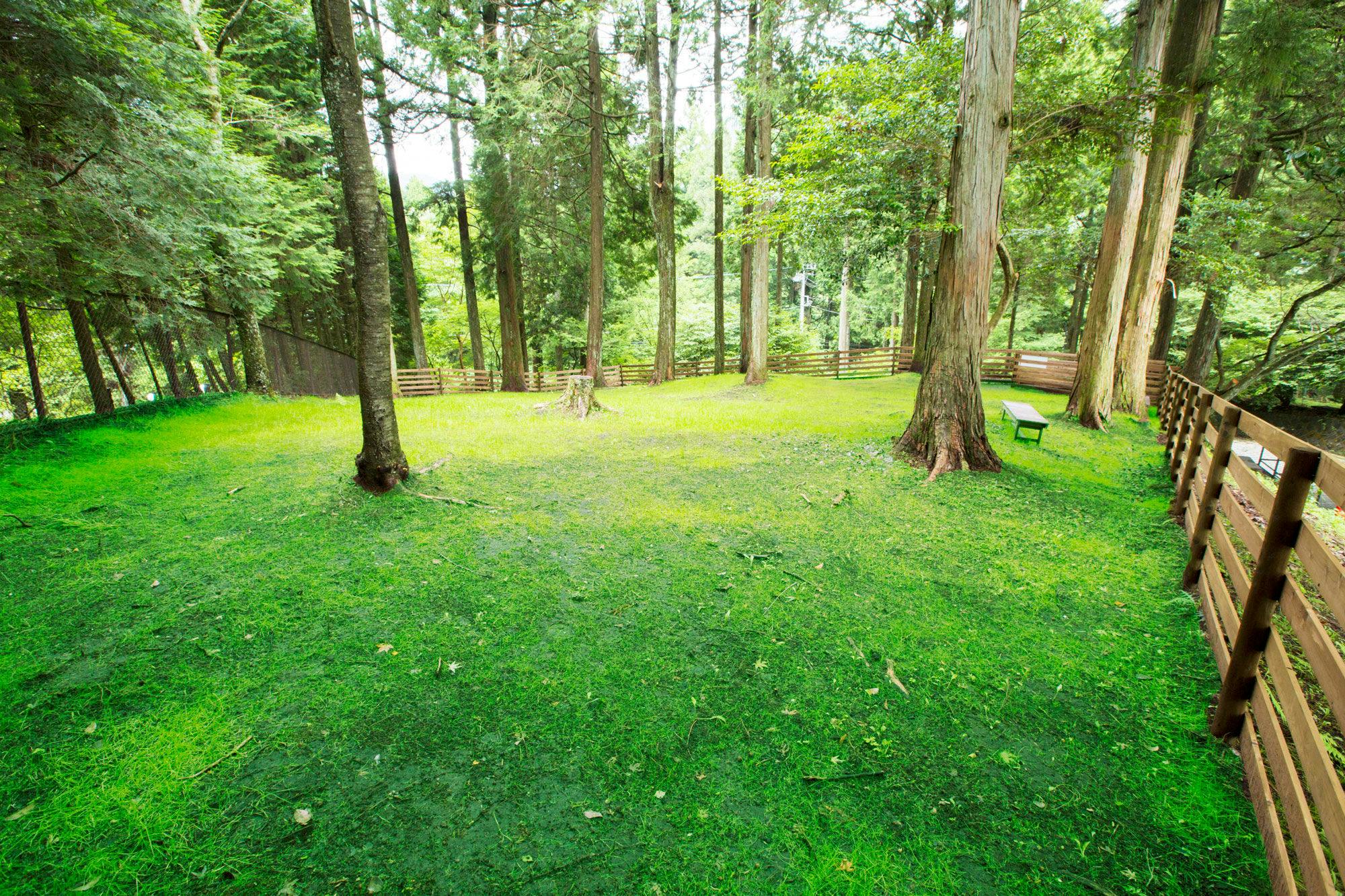 Pet-Friendly Accommodation CARO FORESTA Motohakone LUCIA