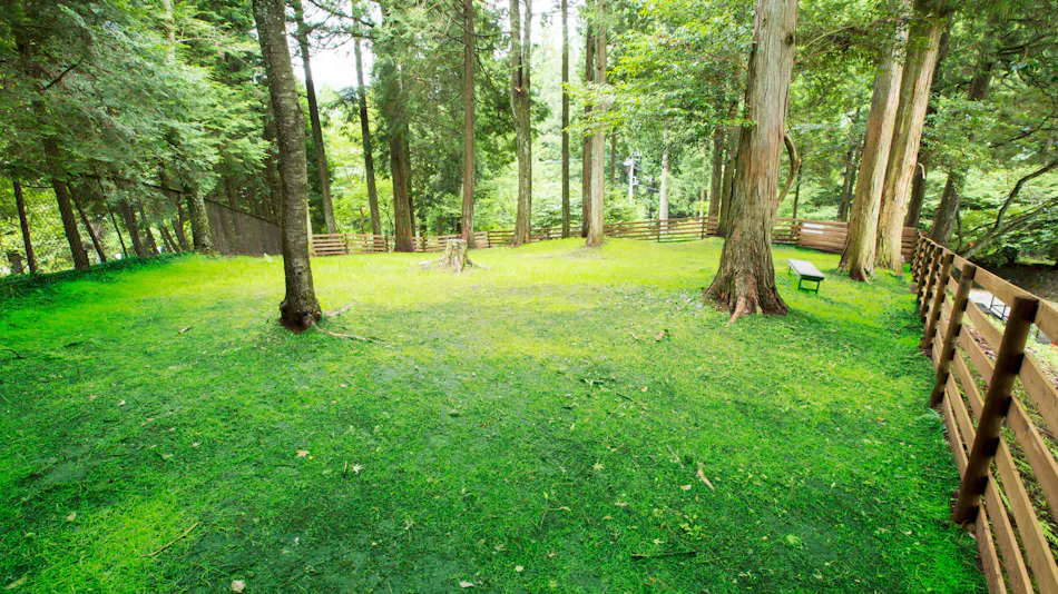 Pet-Friendly Accommodation CARO FORESTA Motohakone LUCIA