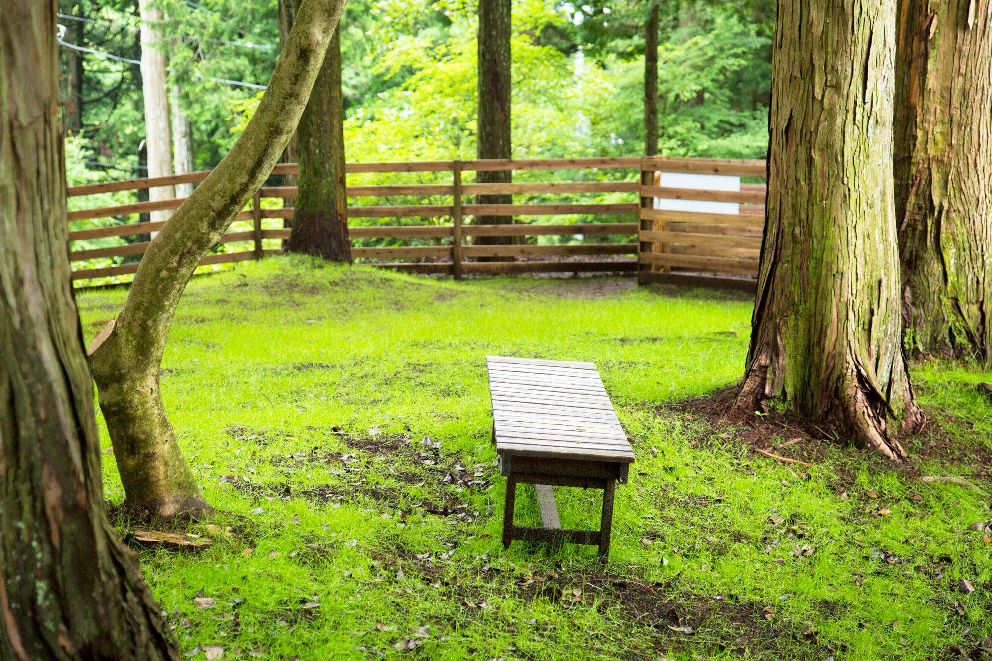 Pet-Friendly Accommodation CARO FORESTA Motohakone LUCIA