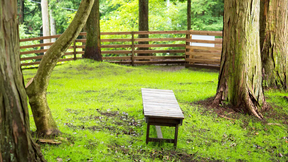 Pet-Friendly Accommodation CARO FORESTA Motohakone LUCIA