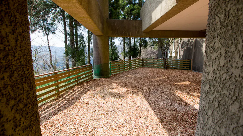 Pet-Friendly Accommodation CARO FORESTA Motohakone LUCIA