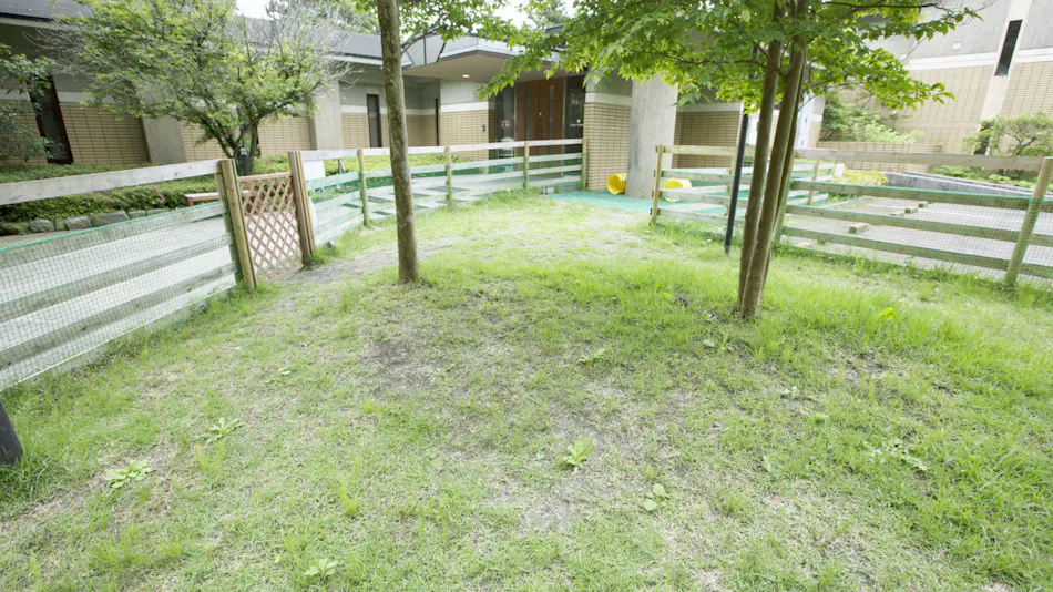 Pet-Friendly Accommodation CARO FORESTA Motohakone LUCIA