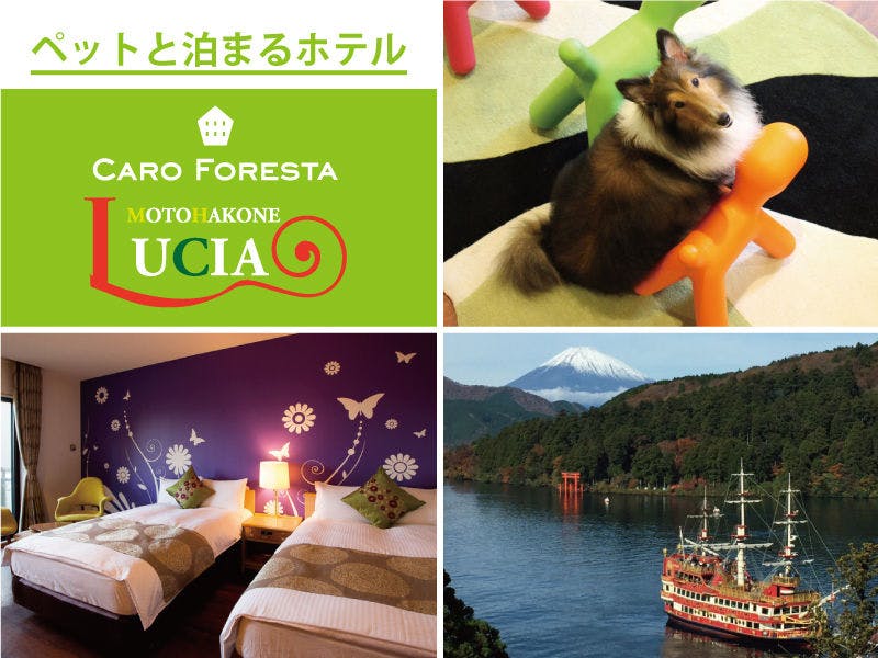 ペットと泊まる宿　CARO FORESTA 元箱根LUCIA 施設全景