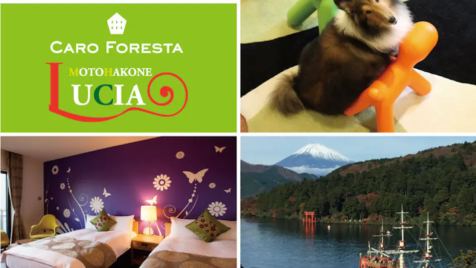 Pet-Friendly Accommodation CARO FORESTA Motohakone LUCIA