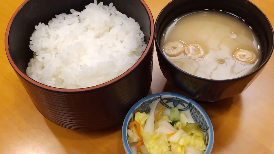 Tsubame Sanjo Washington Hotel