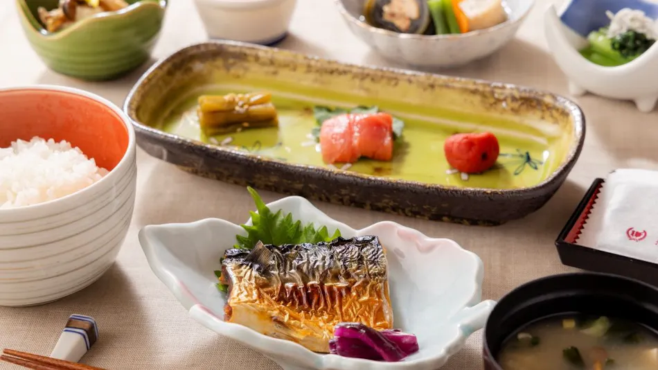 Tsubame Sanjo Washington Hotel