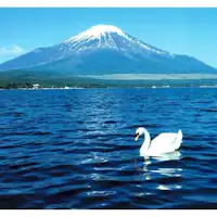 후지산과 백조