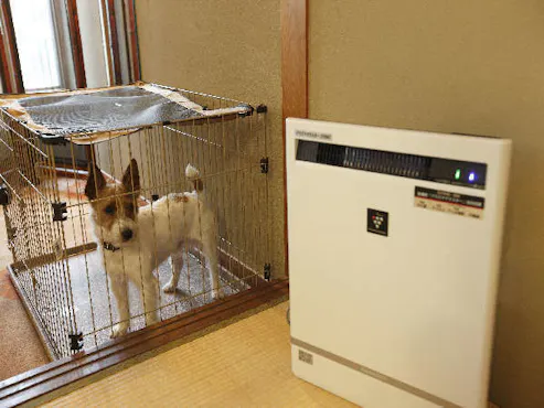 พักผ่อนกับน้องหมา♪