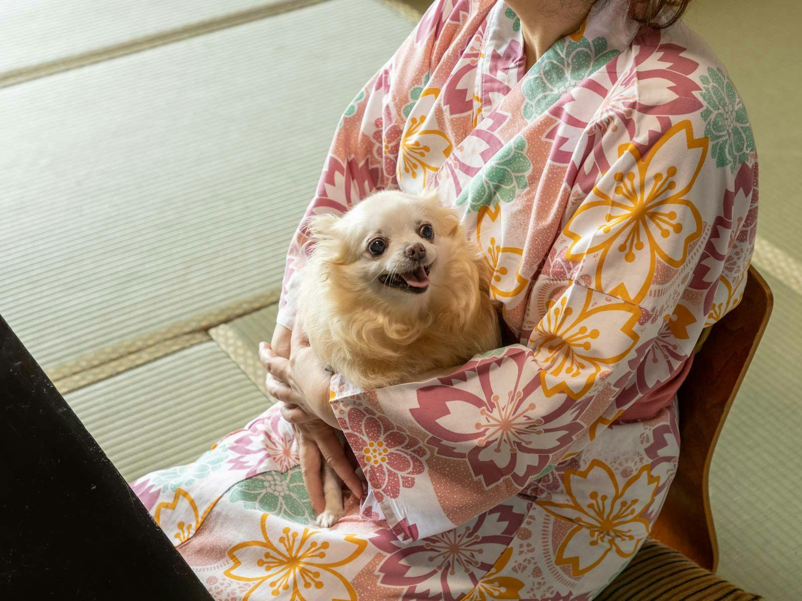 Wa no Resort Hazu