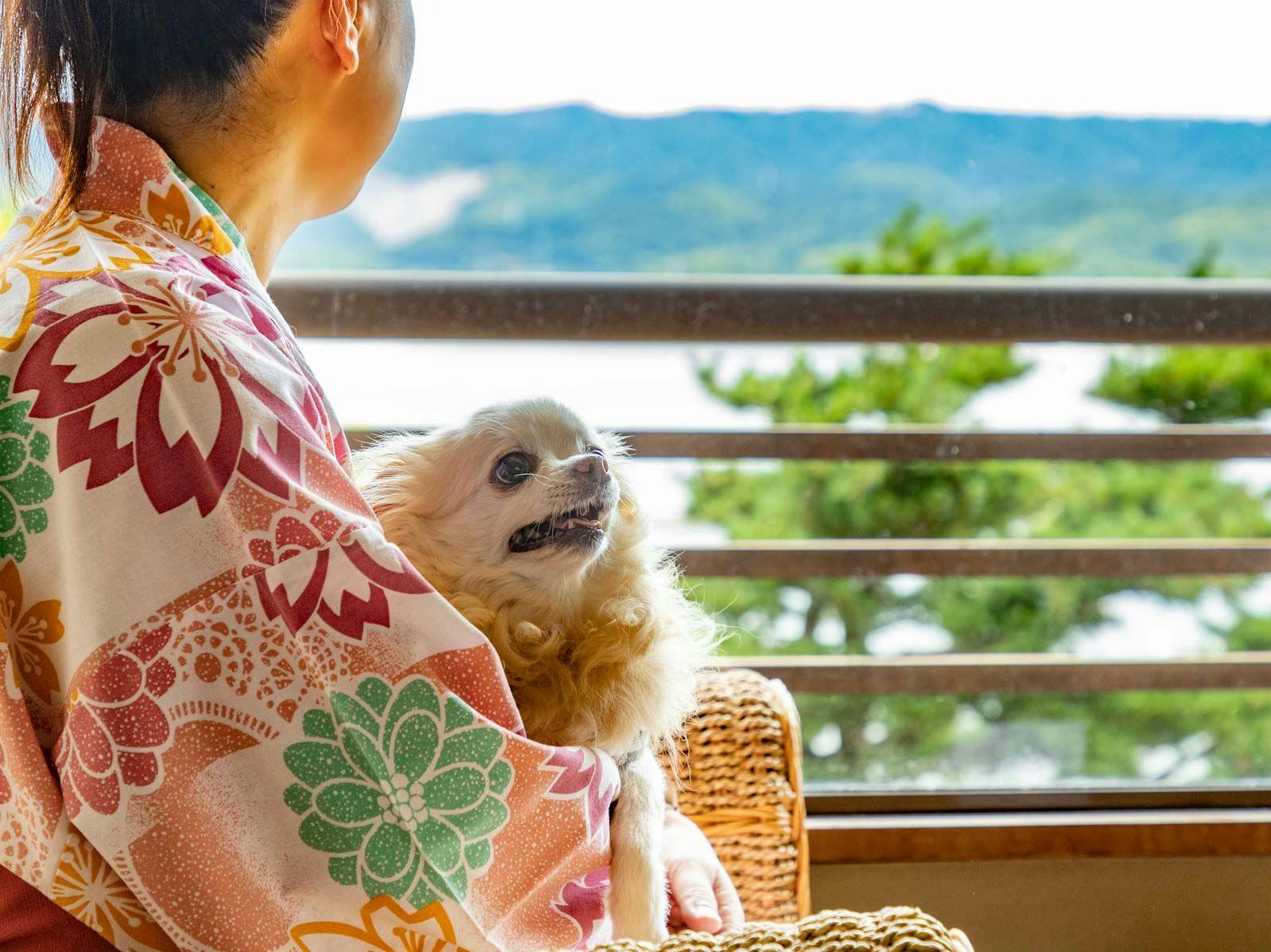 Wa no Resort Hazu