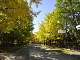 ホテルノースシティ