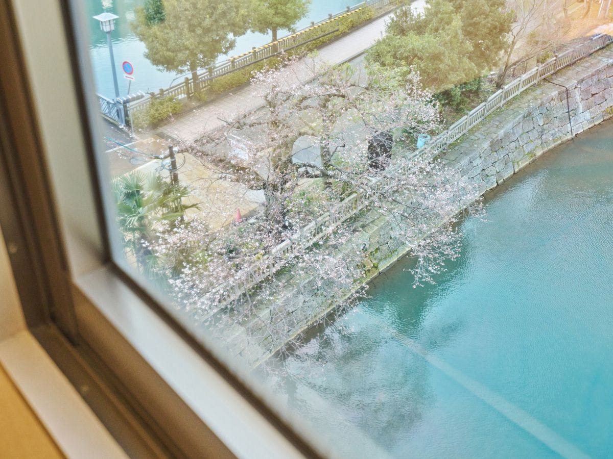 Hotel Fukui Castle