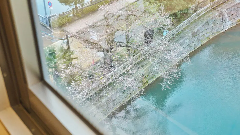 Hotel Fukui Castle