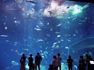 Approximately 5 minutes by car to Aqua World