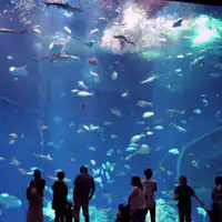 Approximately 5 minutes by car to Aqua World