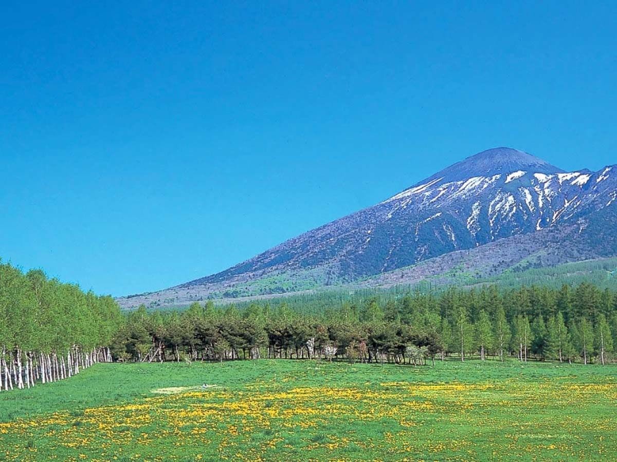 【현민의 숲】웅대한 자연이 펼쳐집니다.