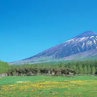 【현민의 숲】웅대한 자연이 펼쳐집니다.