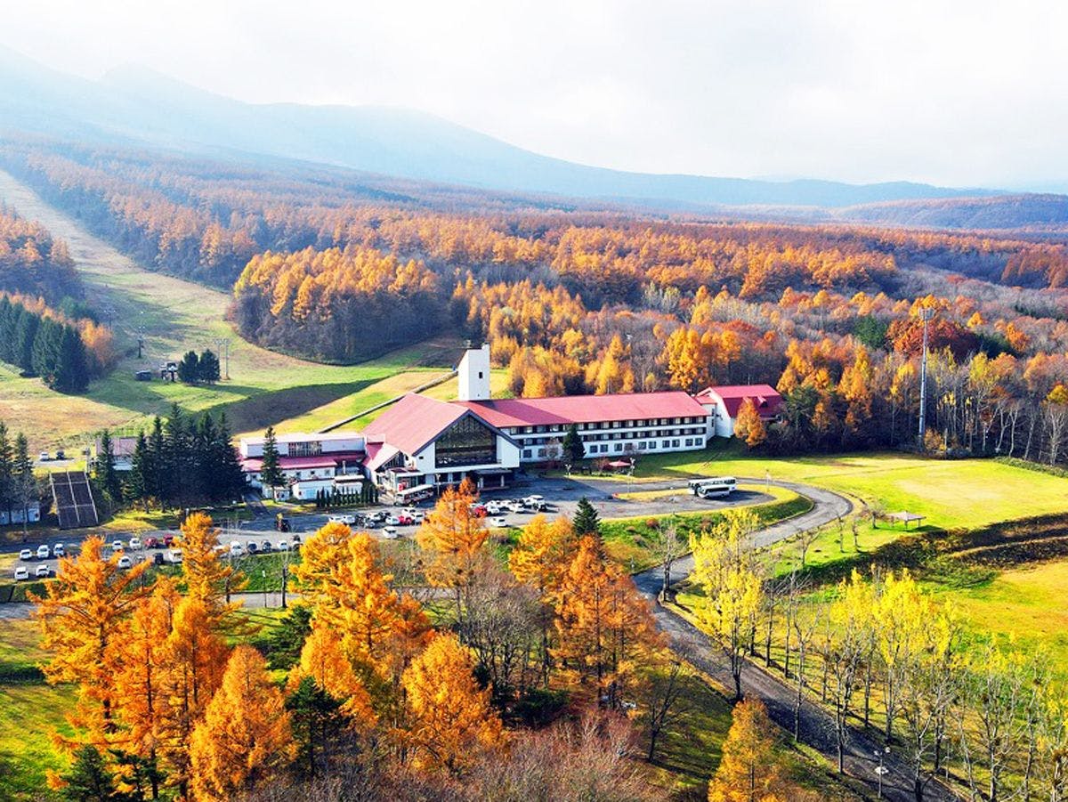 가을, 하치만타이 주변은 단풍의 계절을 맞이합니다.