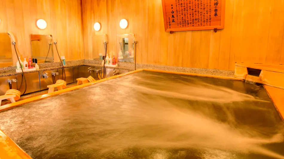 Nara Shikaso
