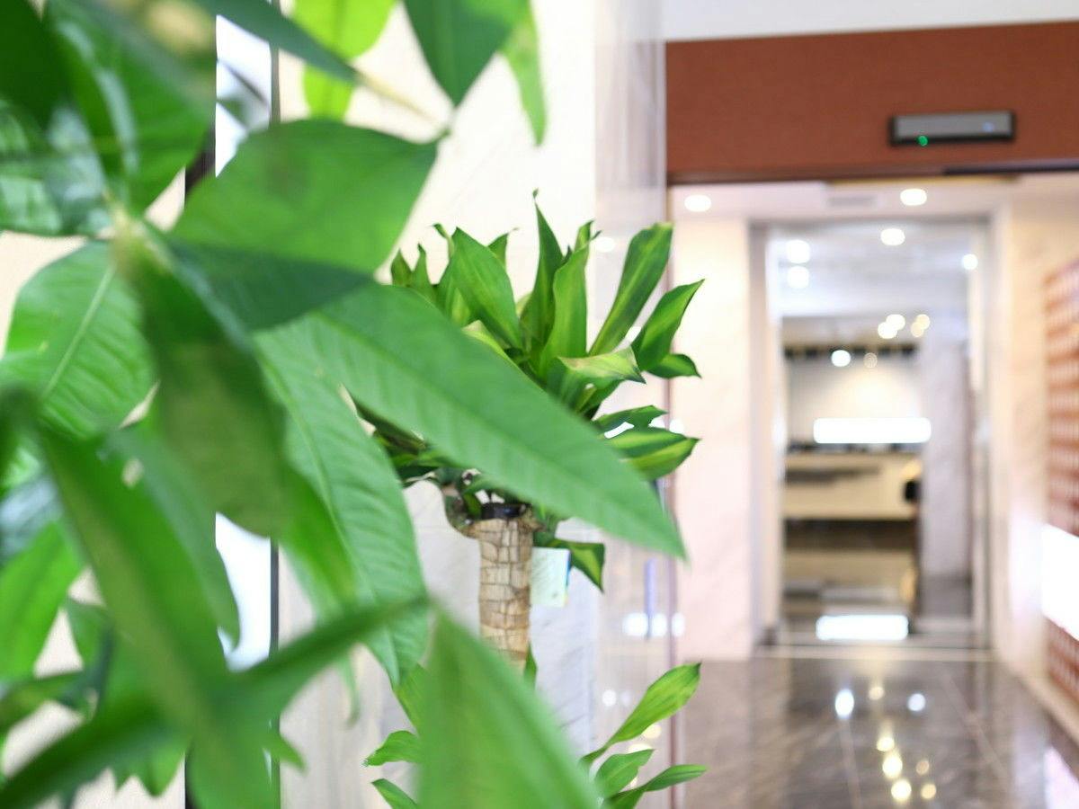 KOKO HOTEL Ueno Station