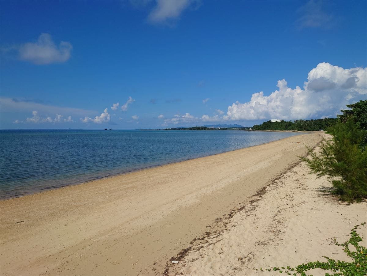 별관 앞에 있는 "타니차 해변"
