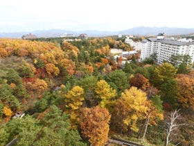 草津温泉　ホテルニュー紅葉