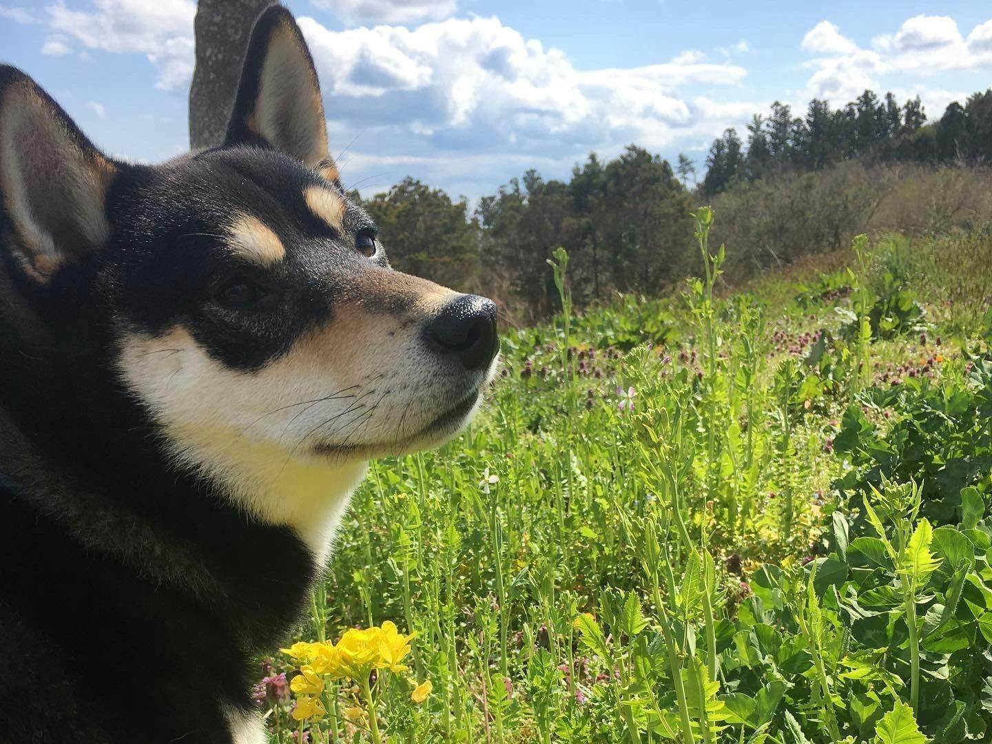 Di tempat letak kereta kedua