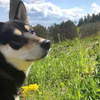 Di tempat letak kereta kedua