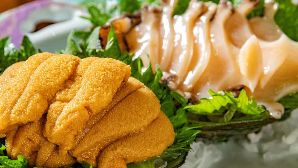 New Tomari Saki Inn
