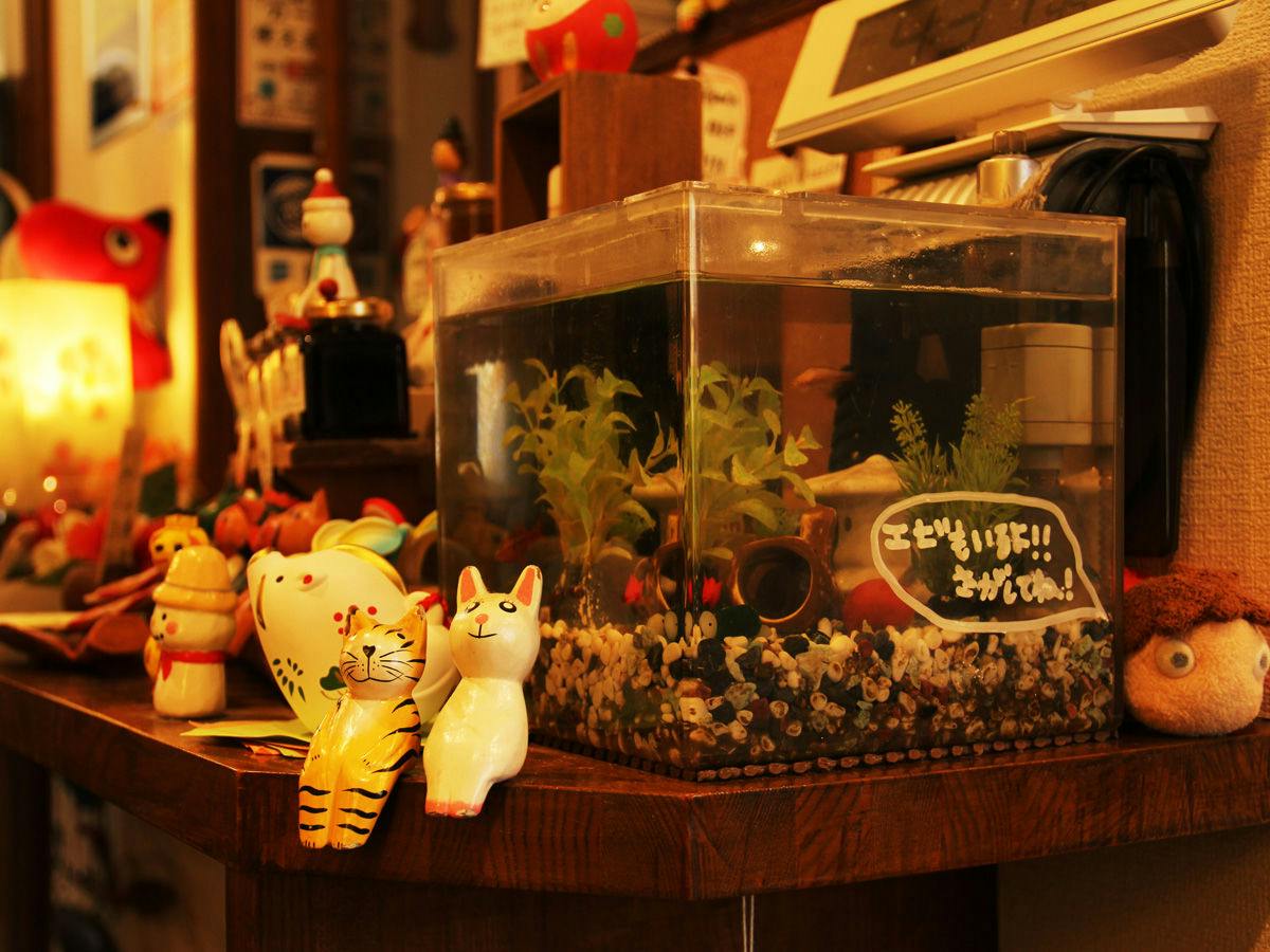 Guest Inn Yookari