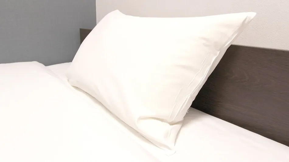 Royal Inn Shin-Yamaguchi Ekimae