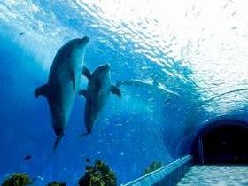 ホテルハーバー横須賀