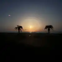 แผนฟาสติ้ง