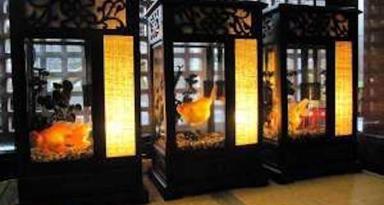 蔚山町停留場に近いホテル 旅館 5選 お得に宿泊予約 Yahoo トラベル 蔚山町停留場に近いホテル 旅館 5選 お得に宿泊予約 Yahoo トラベル