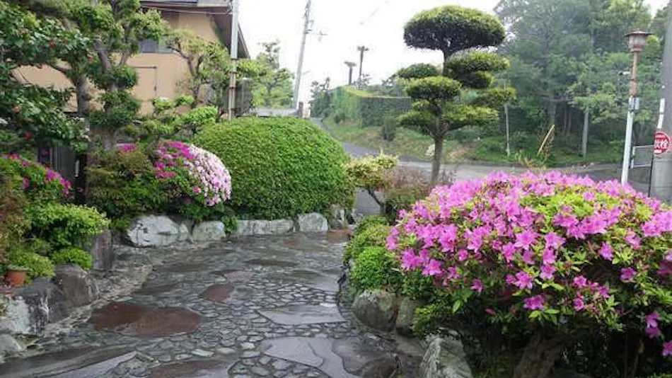 Ryugu Inn