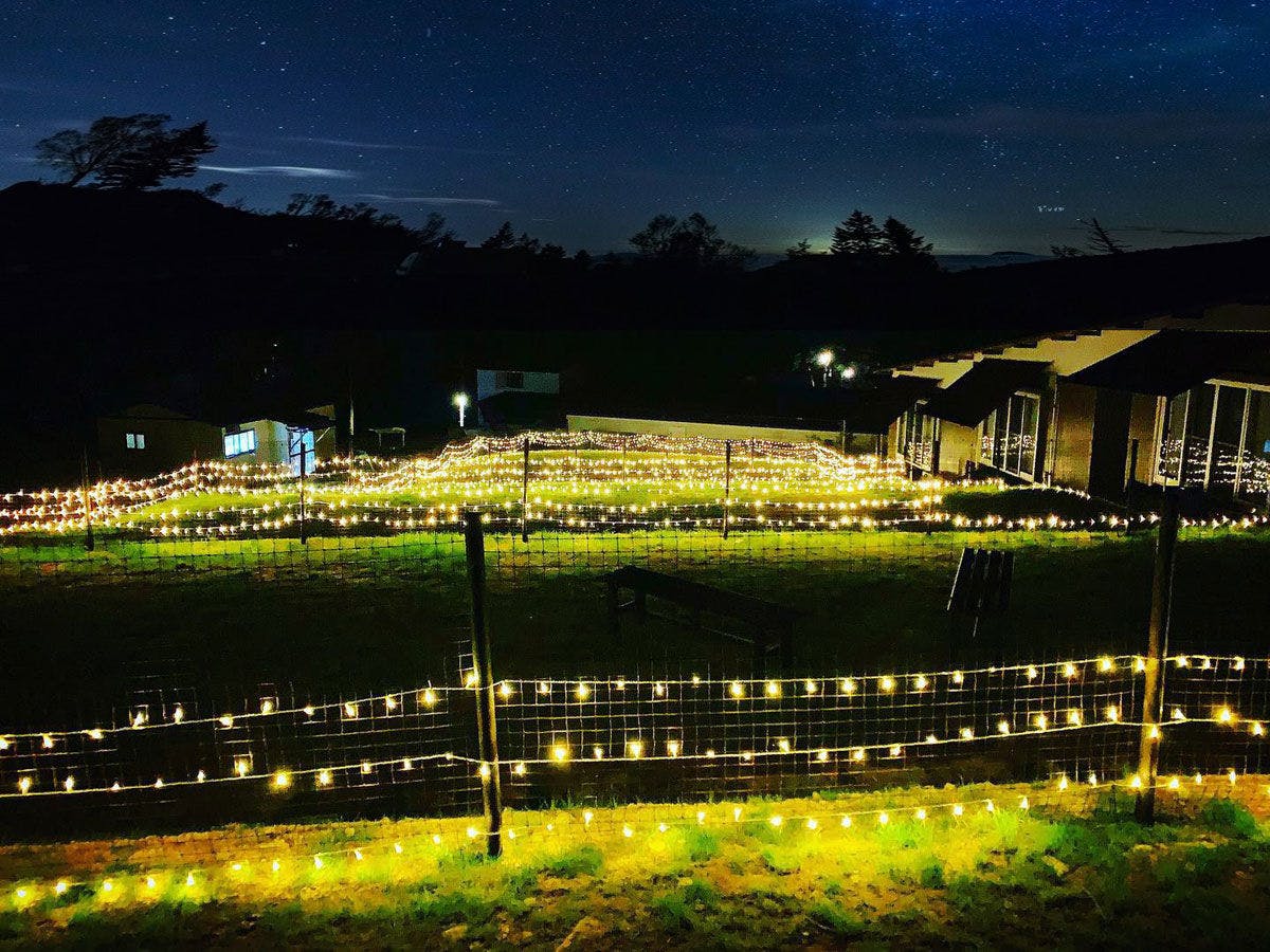 *บริเวณโดยรอบ