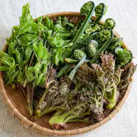 ผักป่าภูเขา (ภาพเป็นเพียงตัวอย่าง)