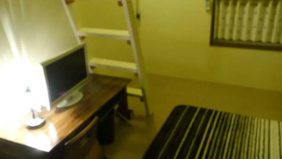 Hira Shofuku Onsen Holiday Afternoon