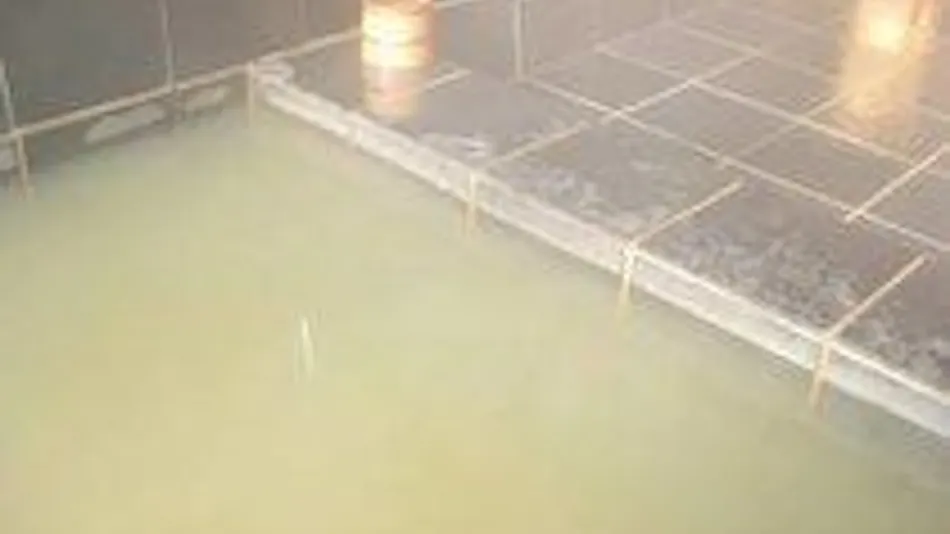 Hira Shofuku Onsen Holiday Afternoon