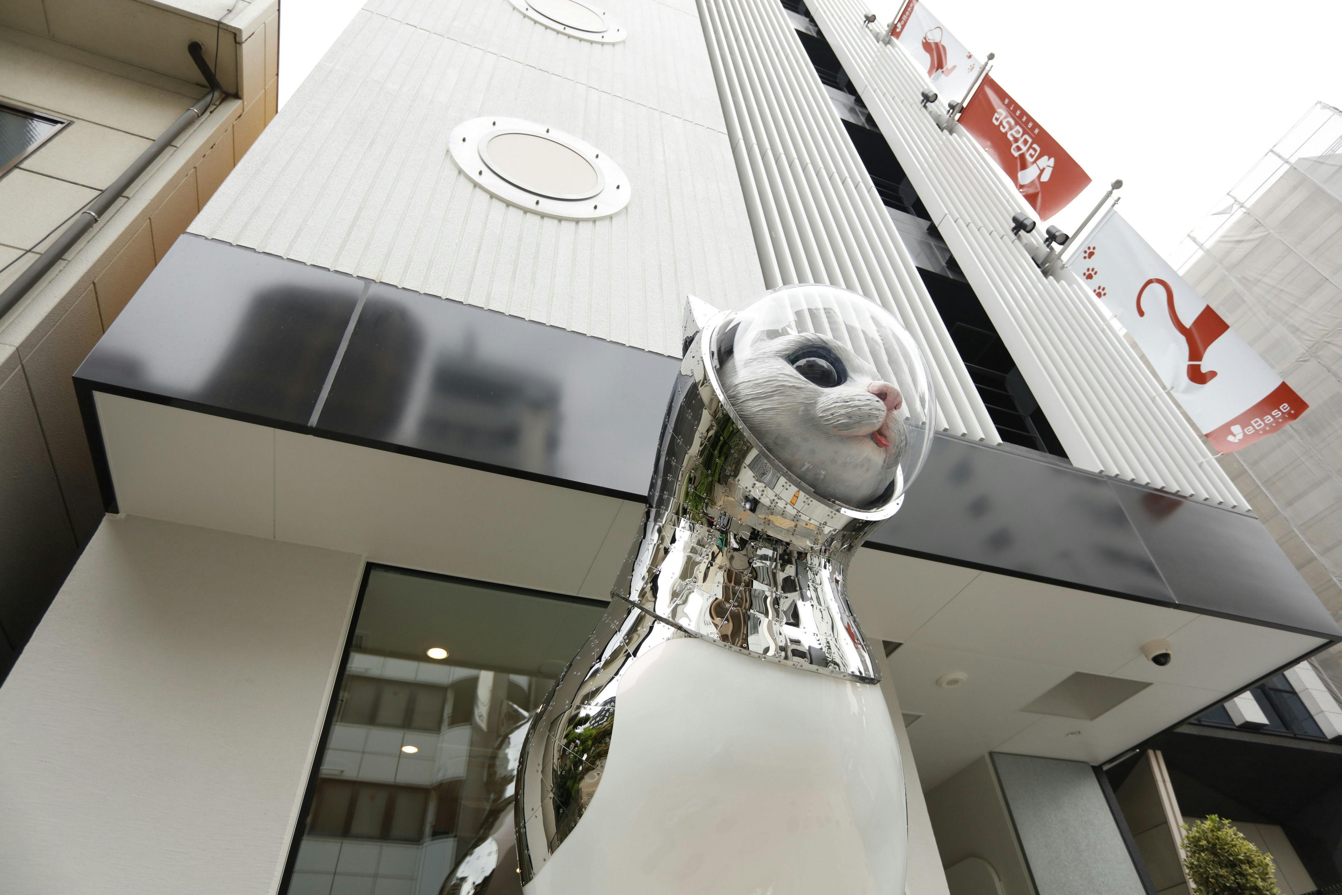 SHIP’S CAT 및 WeBase Hakata