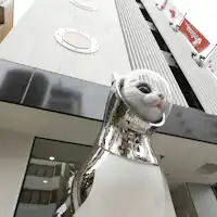 SHIP’S CAT 및 WeBase Hakata