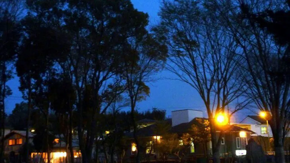 Lilac Hotels and Resorts